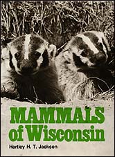 the cover of Jackson's book features a large black and white photo of our state animal, the Badger. Two of the iconic animals poke their heads out of a burrow. 