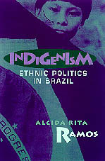 Cover of the book Indigenism is purple and blue, with blue writing.
