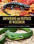 Amphibians and Reptiles of Wisconsin cover.