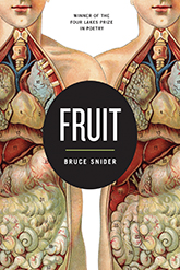 Fruit, winner of the Four Lakes Prize in Poetry, collection by Bruce Snider. Cover image of two anatomical illustrations of male figures meeting in the center where a large black dot announces title and poet.