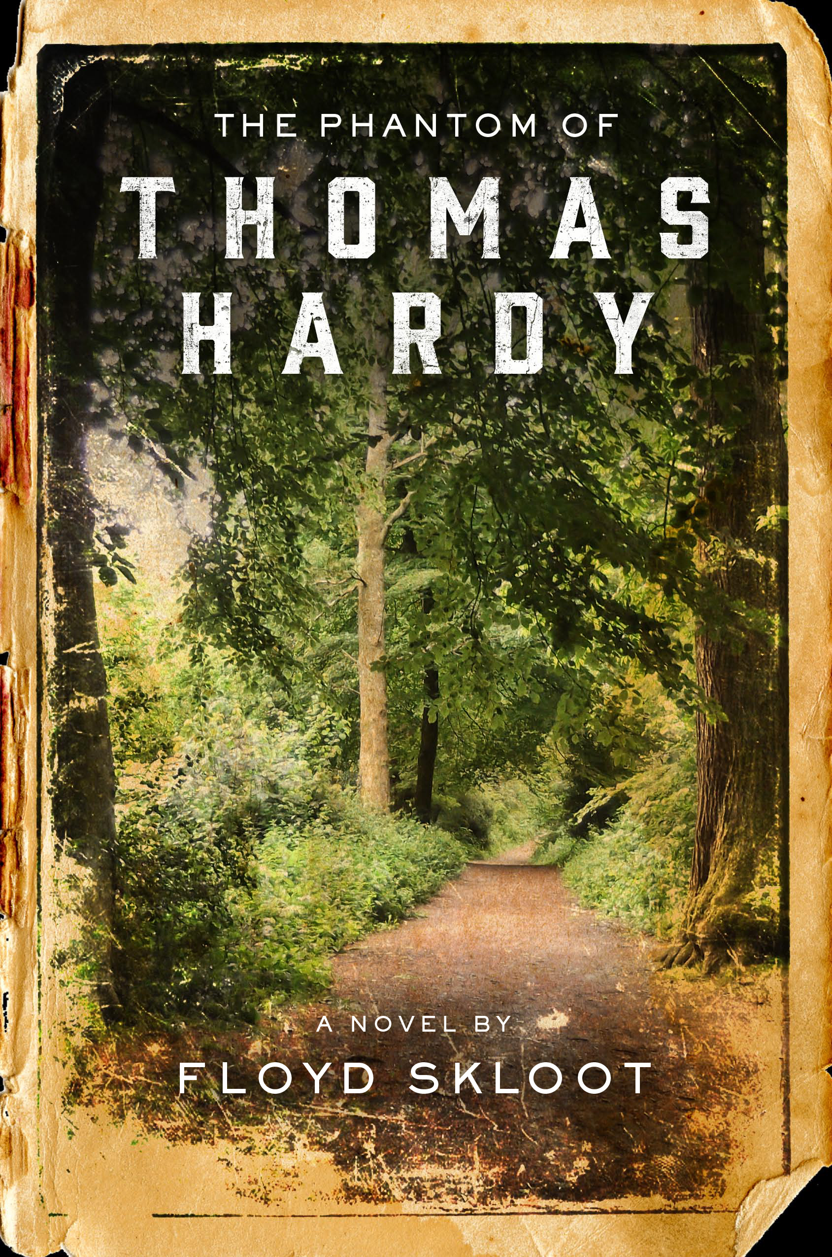thomas hardy novel return of the
