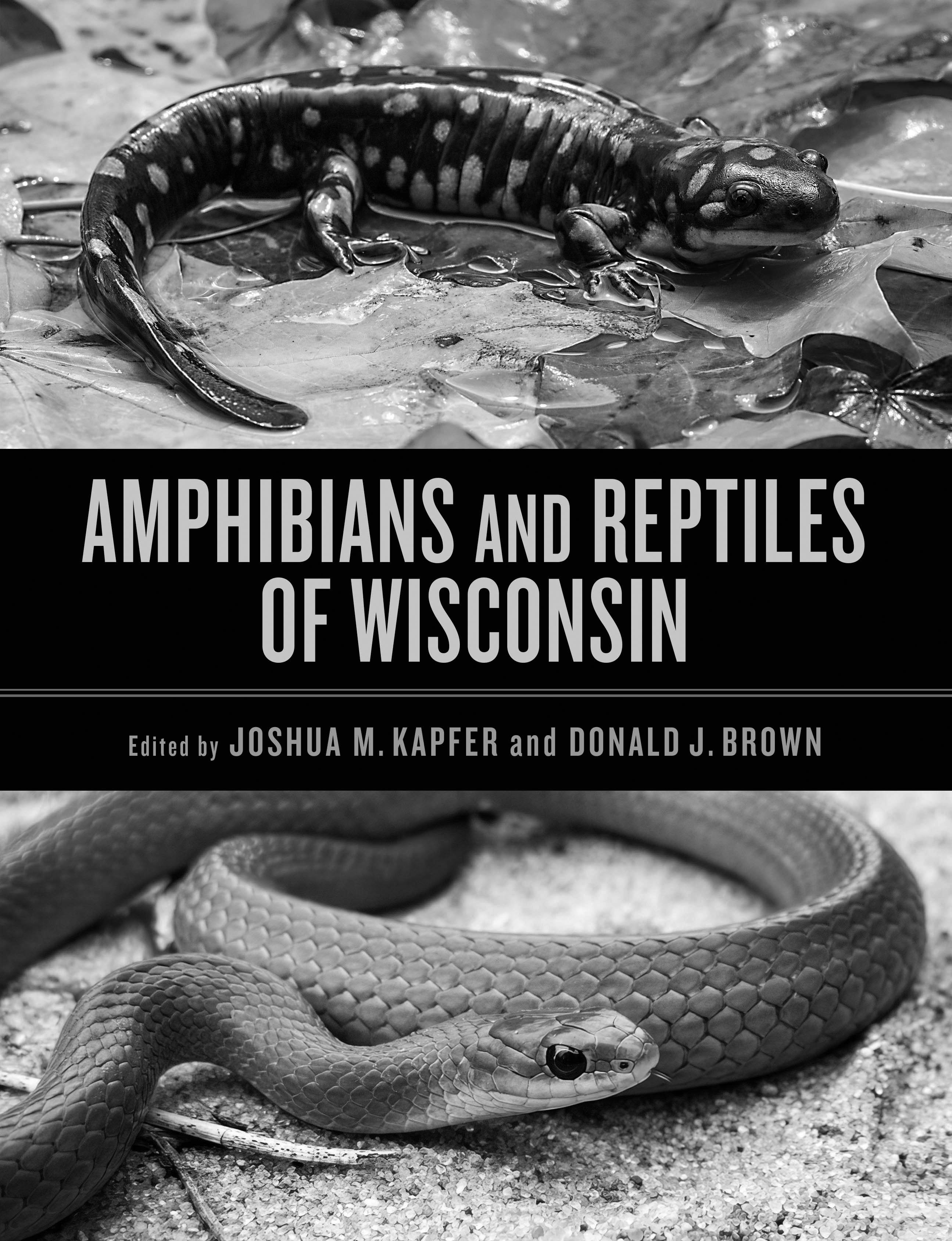 Amphibians & Reptiles, Animals