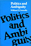 Politics and Ambiguity