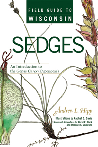 the cover of Sedges is white, with a great illustration of a sedge.