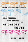 The Lightning That Strikes the Neighbors' House, Nick Lantz