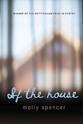 If the House: Cover showing an out of focus photo of a house, partially obscured by a translucent window shade.