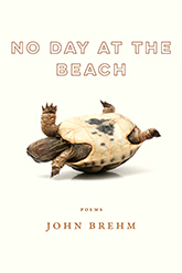 No Day at the Beach, collection by John Brehm. Cover image of a turtle flipped onto its back over a flat white background. The title, positioned above the turtle, is written in outlined block text, with a brown outline and a white fill.