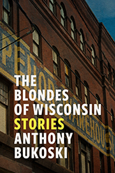 The Blondes of Wisconsin: Cover showing the side of an old brick building with blue and yellow letters painted on it.