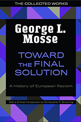 Toward the Final Solution: Illustration of a geometric mosaic consisting of various purple, blue, and dark green pieces. In the center, a large black rectangle contains the title and author text.