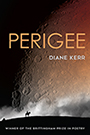 Perigee: Cover showing  a crater mottled celestial body taking up the entire sky, with a dark horizon towards the bottom of the page, upon which the silhouette of a person riding a horse is situated.