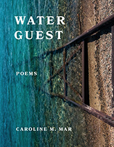 Water Guest book cover.