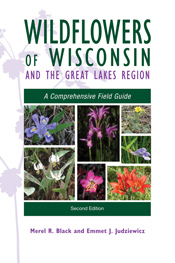 Cover image for Wildflowers of Wisconsin and the Great Lakes Region has pictures of flowers.