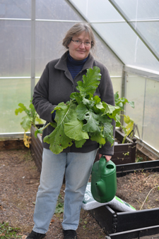 Although not the cover image, this is a photo of the author, Dona Brown, in a greenhouse, holding a plant.
