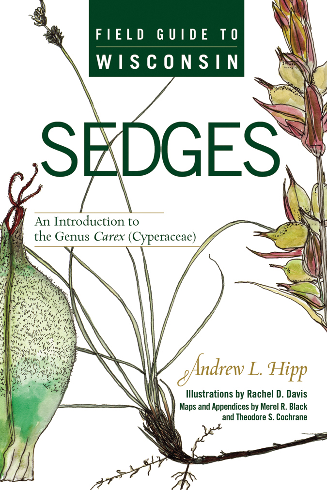 Image of cover of Field Guide to Wisconsin Sedges